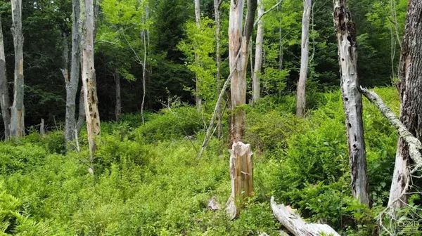 0 North Lake RD, Hunter, NY 12442