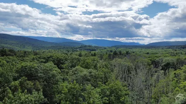 0 North Lake RD, Hunter, NY 12442