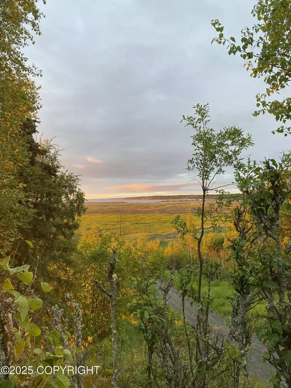 27355 Tideland ST, Kasilof, AK 99610