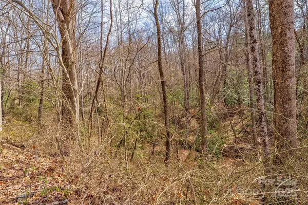 TBD Sheriffs RD, Lenoir, NC 28645