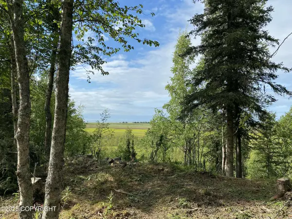 27355 Tideland ST, Kasilof, AK 99610