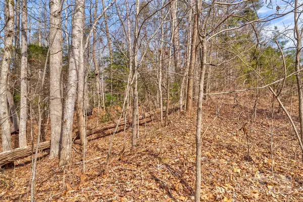 TBD Sheriffs RD, Lenoir, NC 28645