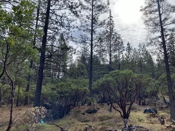 ac Todd Valley RD, Foresthill, CA 95631