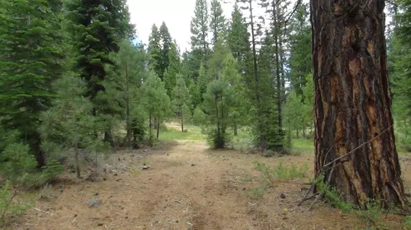 10735 Dogwood, Truckee, CA 96161