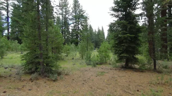 10735 Dogwood, Truckee, CA 96161