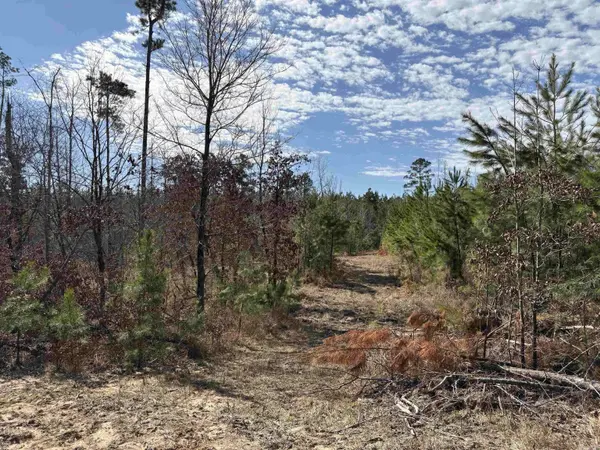 607 Grant County Rd 24, Grapevine, AR 72057