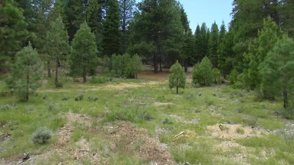 10735 Dogwood, Truckee, CA 96161