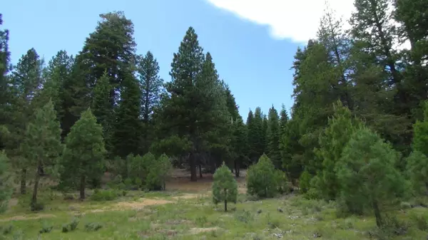 10735 Dogwood, Truckee, CA 96161