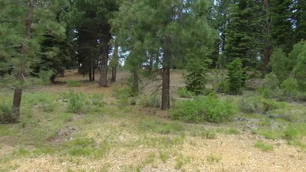 10735 Dogwood, Truckee, CA 96161