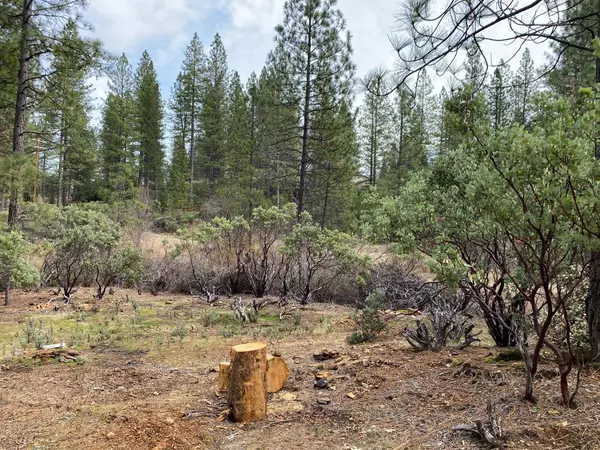 ac Todd Valley RD, Foresthill, CA 95631