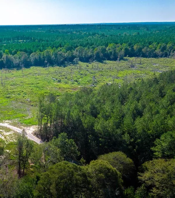 000 Todd Rd., Sumrall, MS 39482