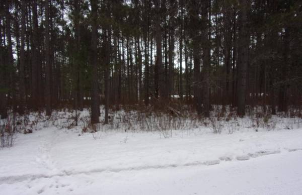 Lot 60 CEDAR AVE, Sayner, WI 54560