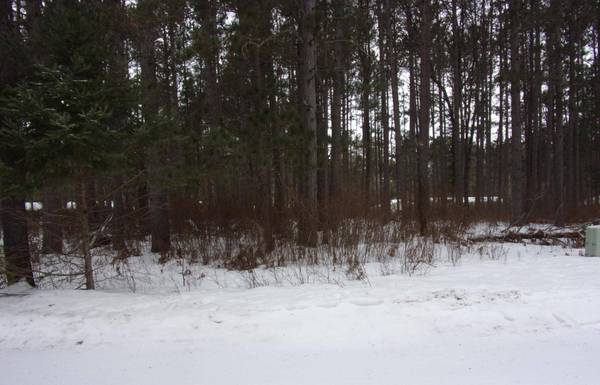 Lot 60 CEDAR AVE, Sayner, WI 54560