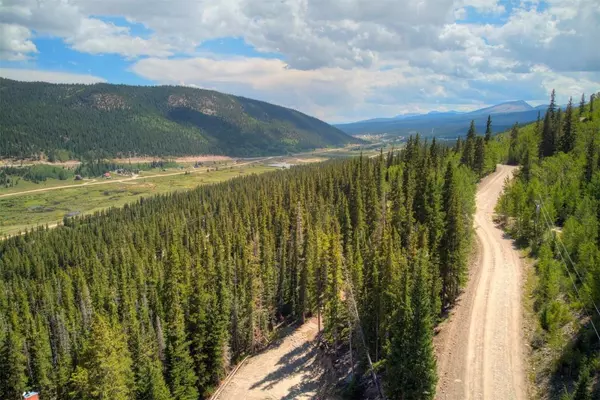 1314 Quartzville RD, Alma, CO 80440