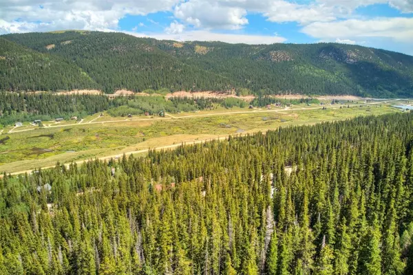 1314 Quartzville RD, Alma, CO 80440