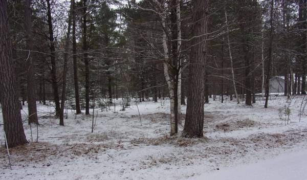 ON HIAWATHA CR, St Germain, WI 54458