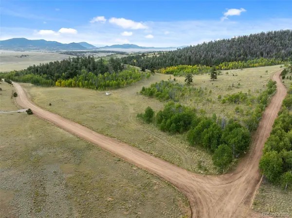 54 Lancelot LN, Hartsel, CO 80449