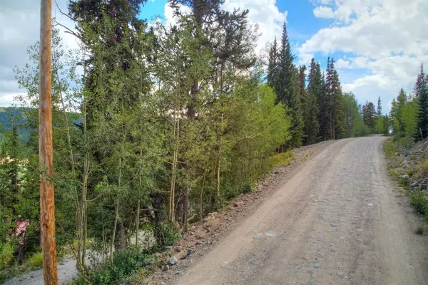 1314 Quartzville RD, Alma, CO 80440