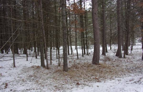 ON HIAWATHA CR, St Germain, WI 54458