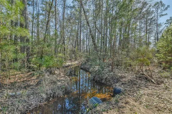 35 Fm 2989, Midway, TX 75852