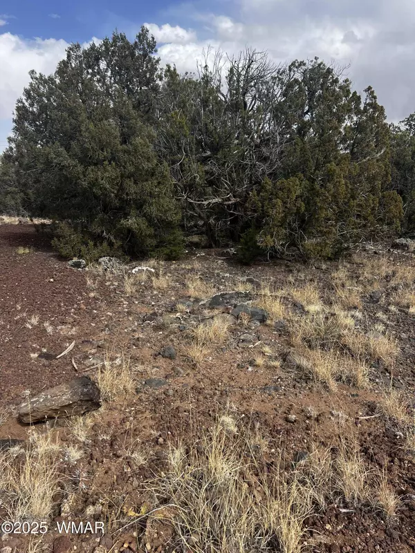 8330 Skyline Drive, Show Low, AZ 85901