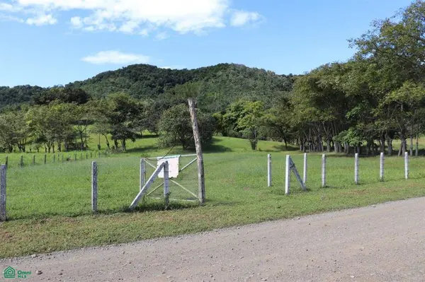Bejuco Hill Lot/ Guanacaste, 50906