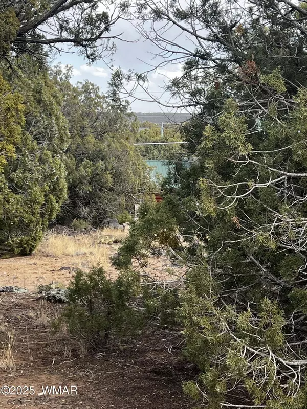 8330 Skyline Drive, Show Low, AZ 85901