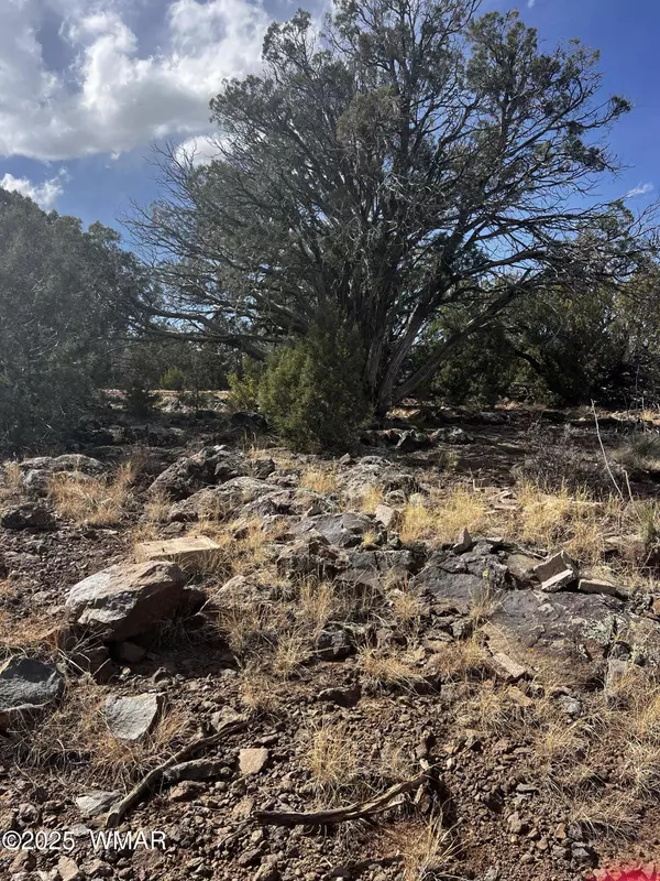 8330 Skyline Drive, Show Low, AZ 85901