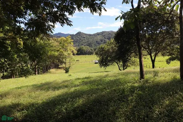 Bejuco Hill Lot/ Guanacaste, 50906