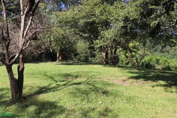 Bejuco Hill Lot/ Guanacaste, 50906