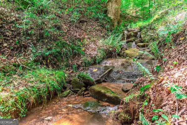 25.35 Ashley DR, Cleveland, GA 30528