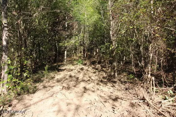 2372 Old Chilhowee Rd, Seymour, TN 37865