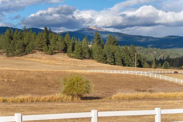 00 E Peone Valley Ln, Mead, WA 99021