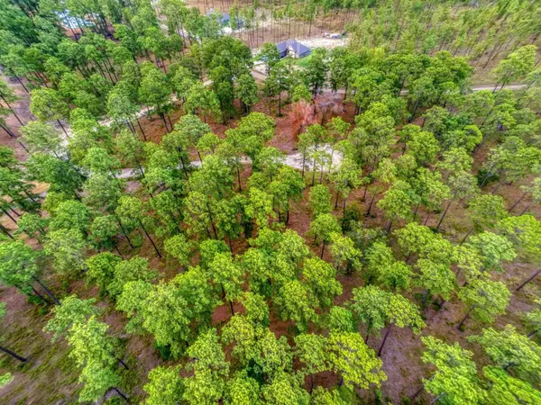 Tract 1-35 Pr 6026, Brookeland, TX 75931