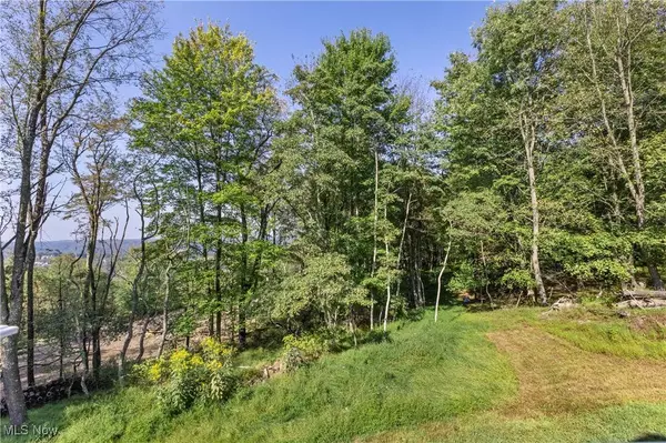 VL Eagle Mountain Estate, New Cumberland, WV 26047