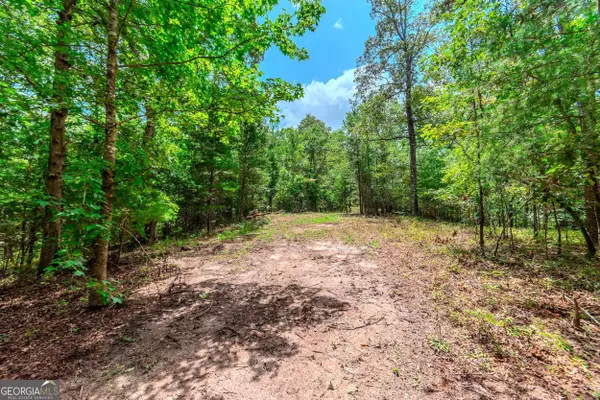 25.35 Ashley DR, Cleveland, GA 30528