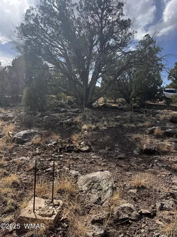 8330 Skyline Drive, Show Low, AZ 85901