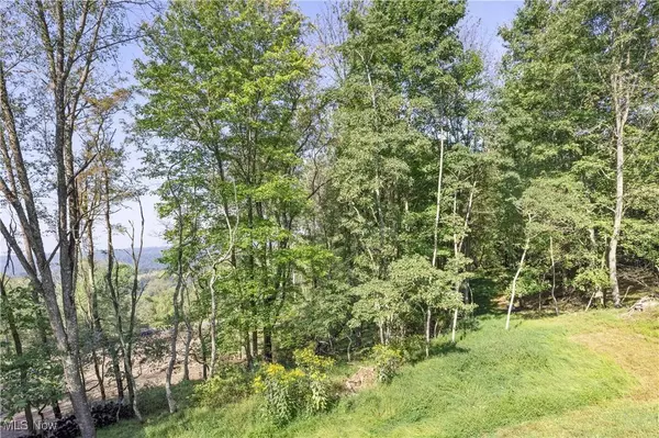 VL Eagle Mountain Estate, New Cumberland, WV 26047