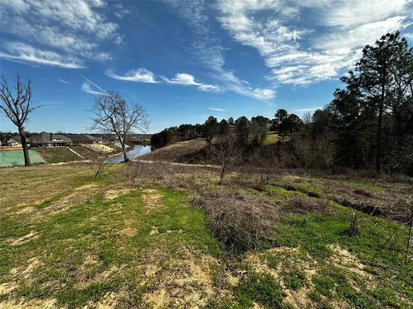 19150 Grandview PT, Montgomery, TX 77356