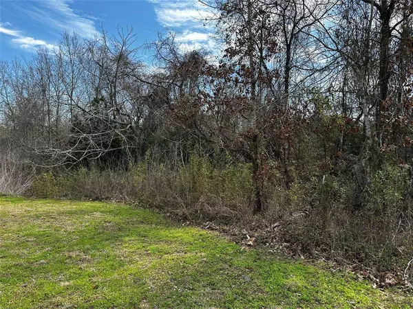 19150 Grandview PT, Montgomery, TX 77356