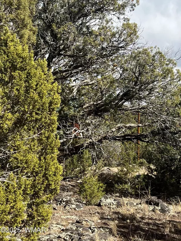 8330 Skyline Drive, Show Low, AZ 85901