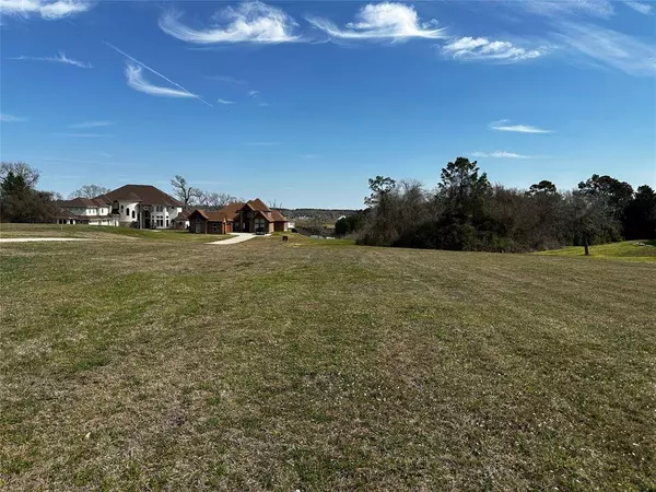 19150 Grandview PT, Montgomery, TX 77356