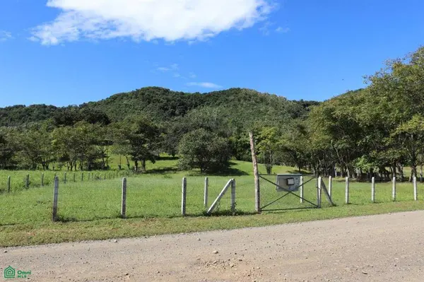 Bejuco Hill Lot/ Guanacaste, 50906
