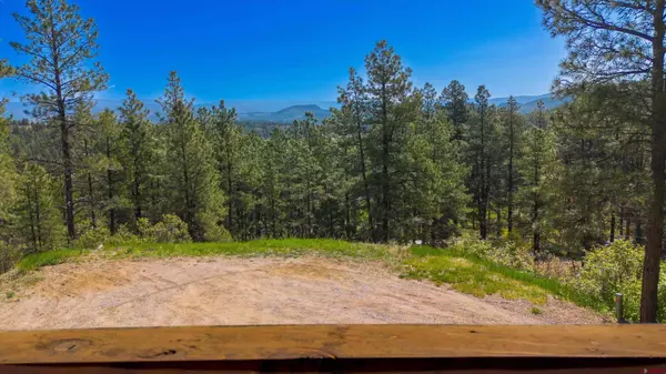 3495 County Road 502, Bayfield, CO 81122