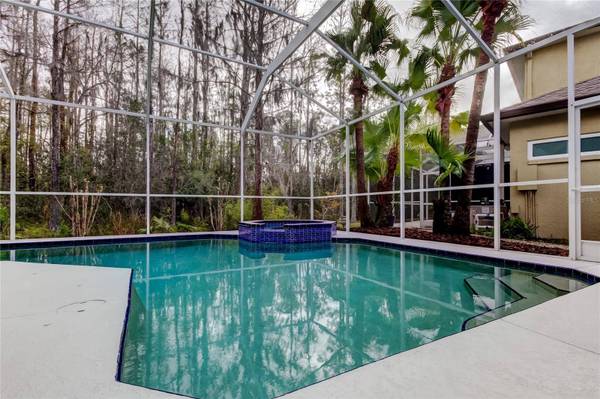 14115 LINCOLNSHIRE CT, Tampa, FL 33626