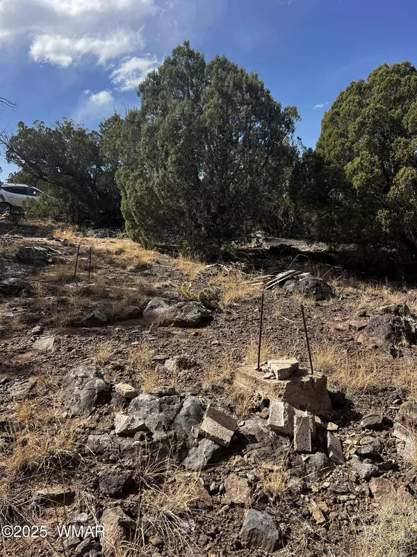 8330 Skyline Drive, Show Low, AZ 85901