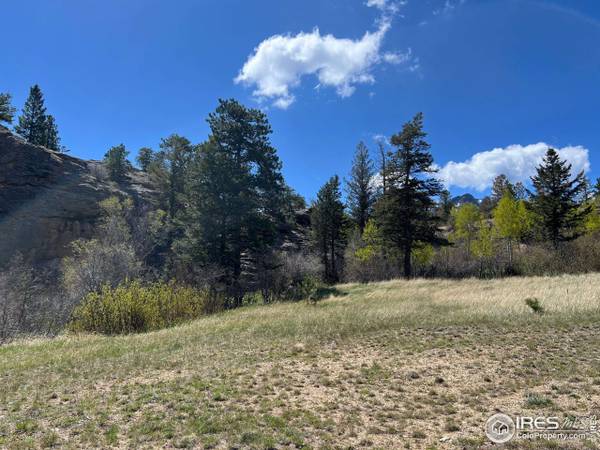 0 Kiowa Ct, Estes Park, CO 80517