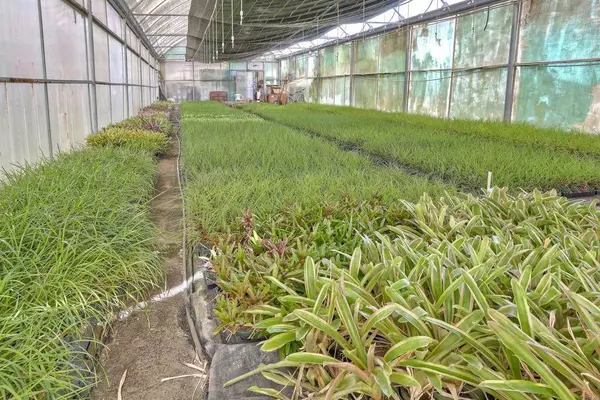 2526 Rainbow Valley BLVD, Fallbrook, CA 92028