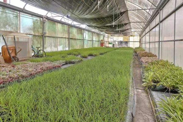 2526 Rainbow Valley BLVD, Fallbrook, CA 92028