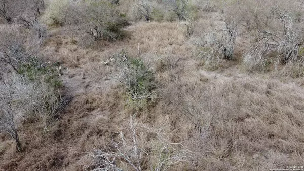 TBD Ridgeway Lane & FM888, Beeville, TX 78102